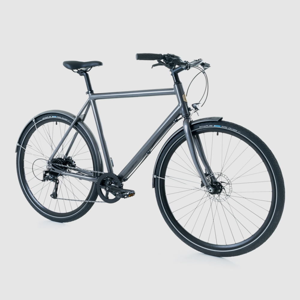 raleigh retroglide beach cruiser